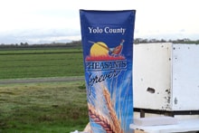 Two women hunters — one in blaze orange vest, one in an orange shirt — each holding a harvested pheasant in an open field under cloudy skies