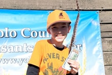 Young boy in an orange cap and yellow shirt holding a pheasant by the tail feathers in front of the Yolo County Pheasants Forever banner at the 2024 Youth Mentor Hunt