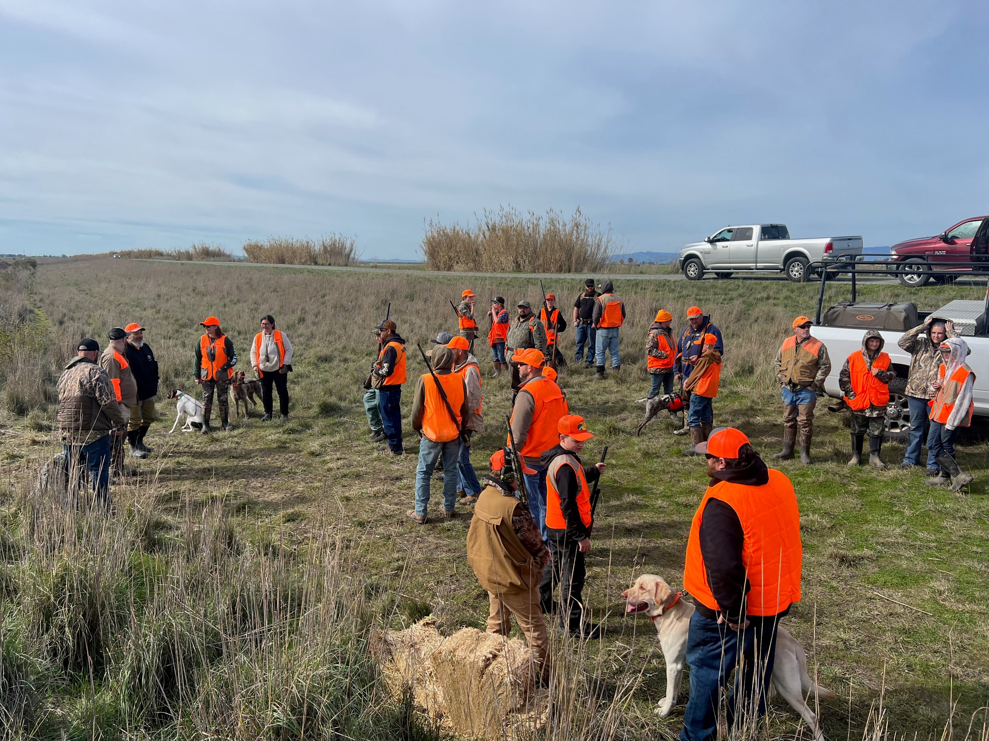 Large group of hunters and dogs assembled in an open field before the hunt