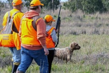 Family group of hunters in orange vests walking through a field