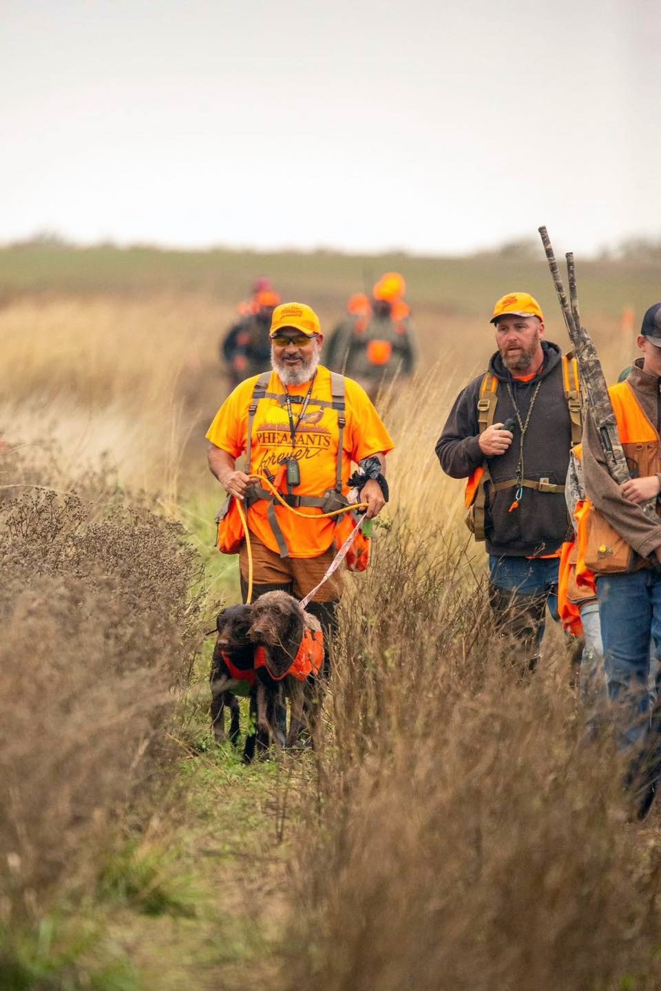 Pheasants Forever mentor in orange shirt leading two dogs on leash through tall grass with a line of hunters behind him