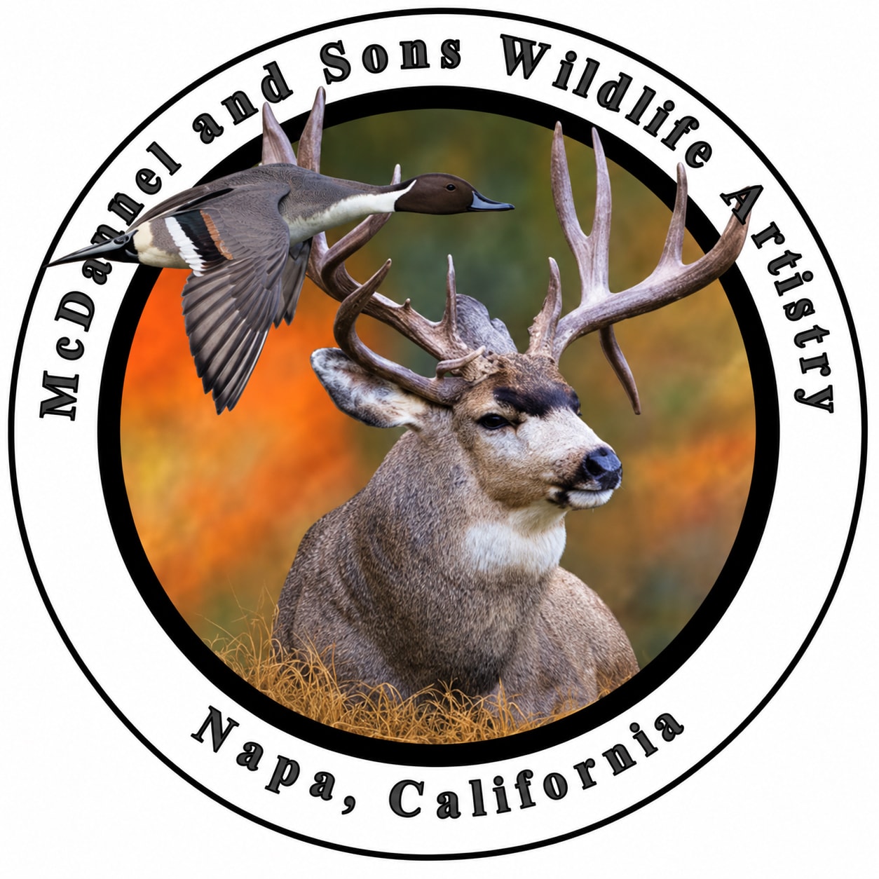 McDannel and Sons Wildlife Artistry — Napa, California